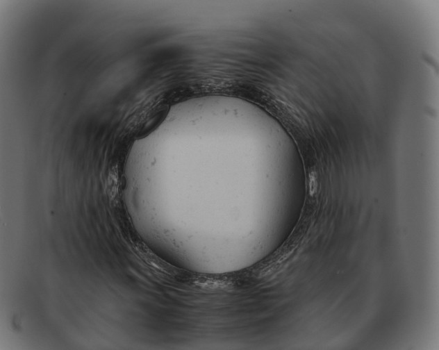 X0000091661011200709131506