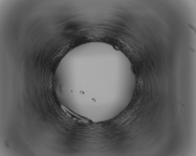 X0000091661012200709131506