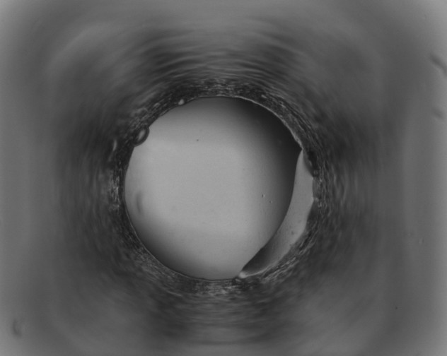 X0000091661013200709131506