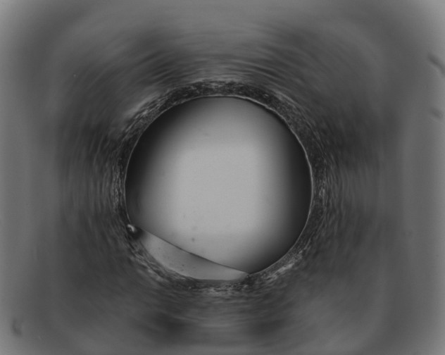 X0000091661014200709131506