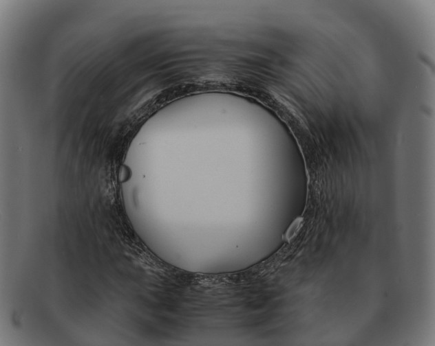 X0000091661015200709131506