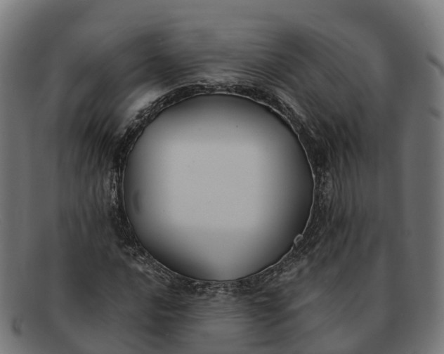 X0000091661016200709131506