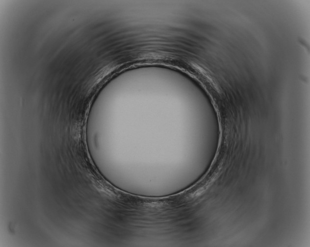 X0000091661017200709131506