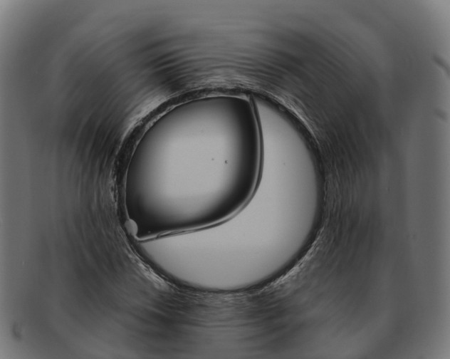 X0000091661018200709131506