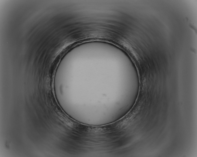 X0000091661019200709131506