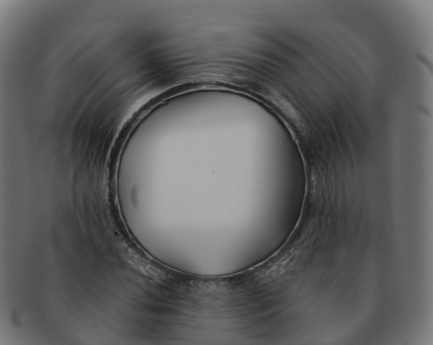 X0000091661020200709131506