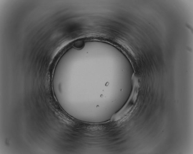 X0000091661021200709131506