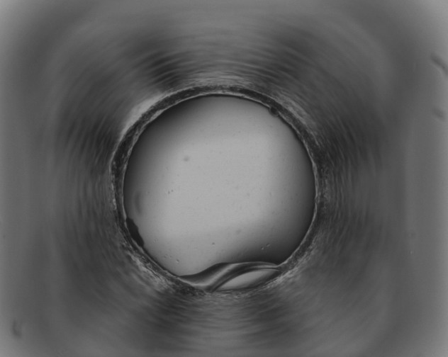 X0000091661022200709131506