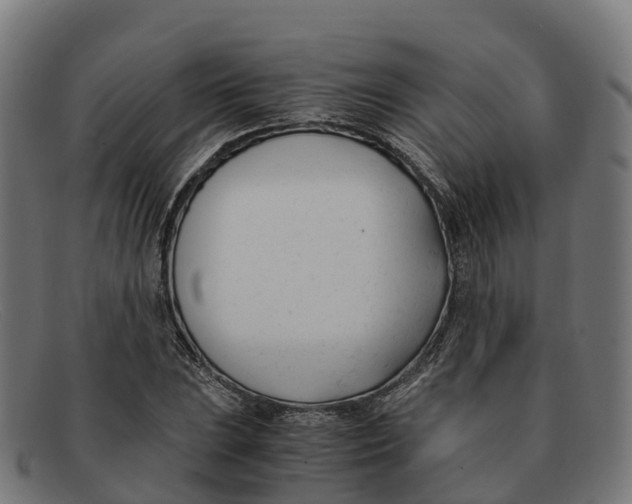 X0000091661023200709131506