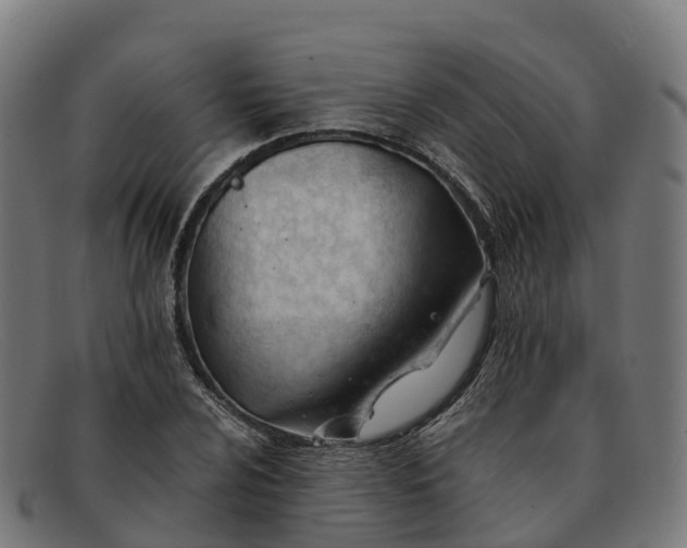 X0000091661024200709131506