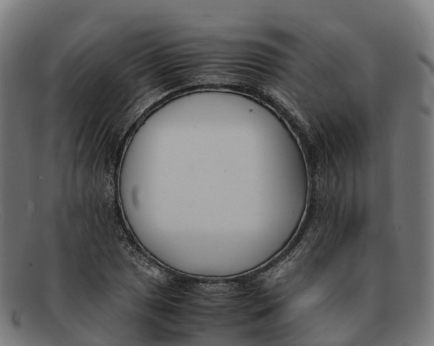 X0000091661025200709131506