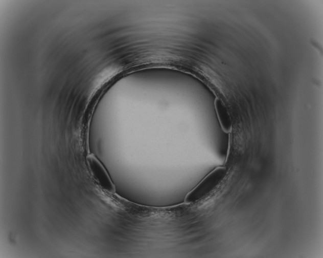 X0000091661026200709131506