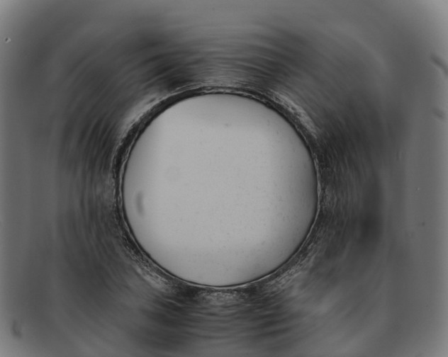 X0000091661027200709131506