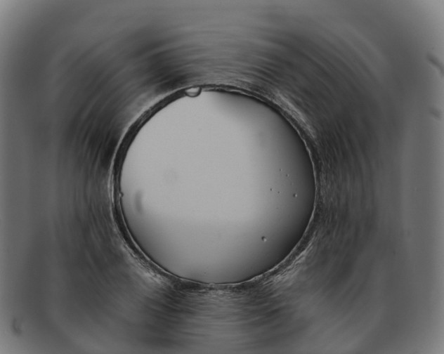 X0000091661028200709131506