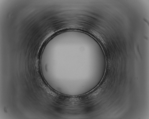 X0000091661029200709131506