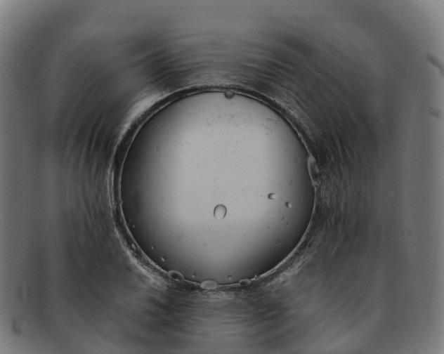 X0000091661030200709131506