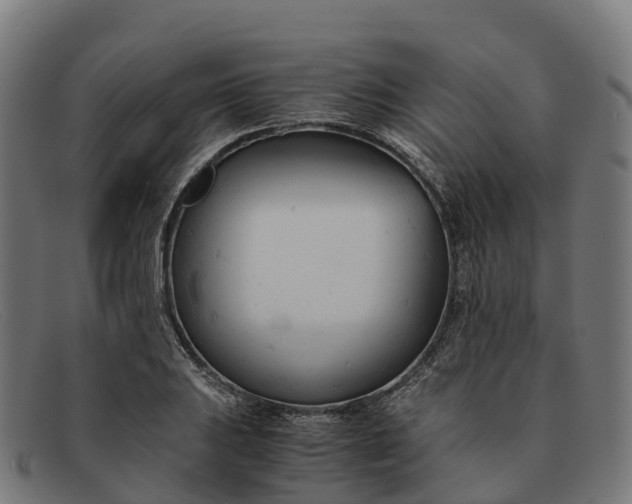 X0000091661031200709131506