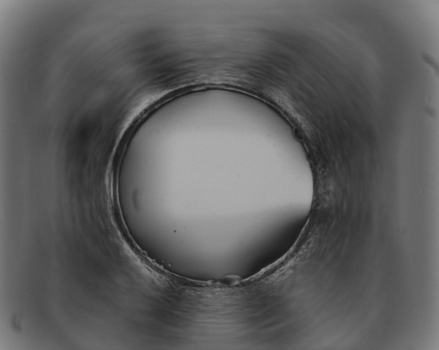 X0000091661032200709131506