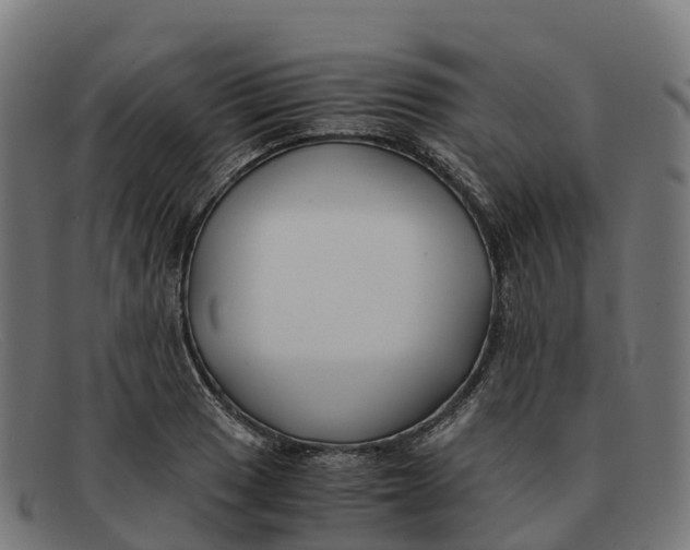 X0000091661033200709131506