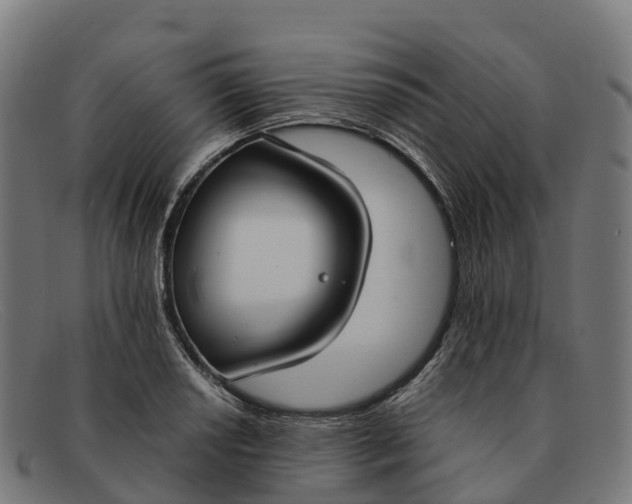 X0000091661034200709131506