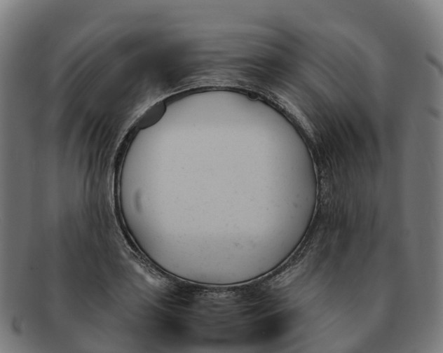 X0000091661035200709131506