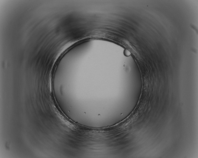 X0000091661036200709131506