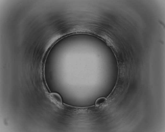 X0000091661038200709131506