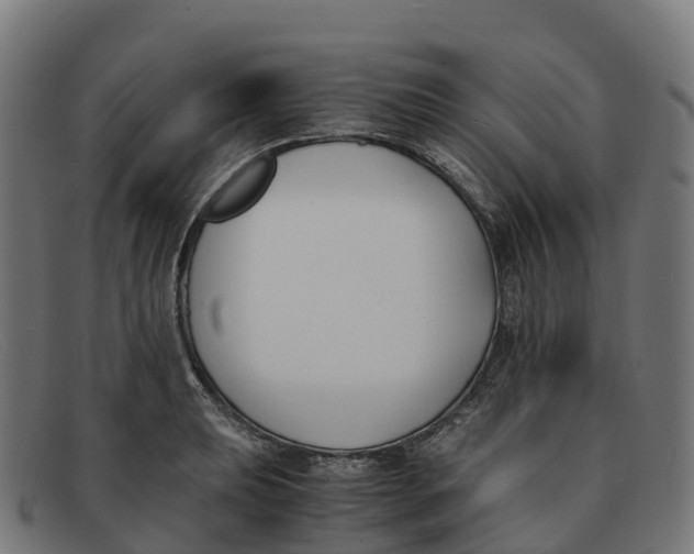 X0000091661039200709131506