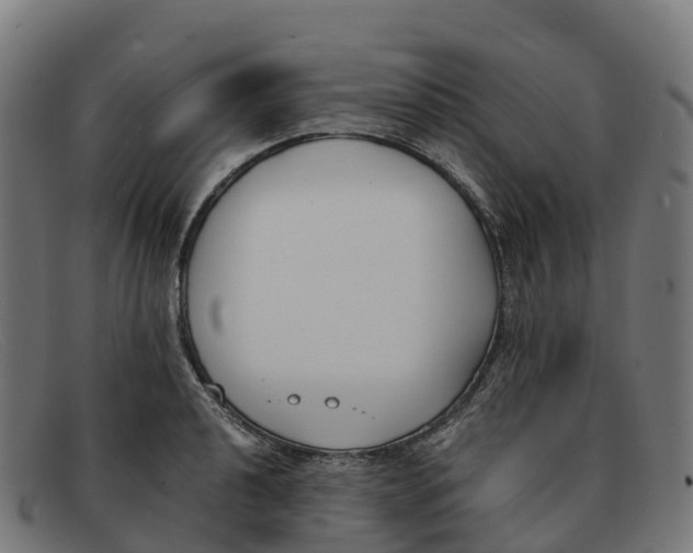 X0000091661040200709131506