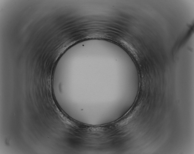 X0000091661041200709131506