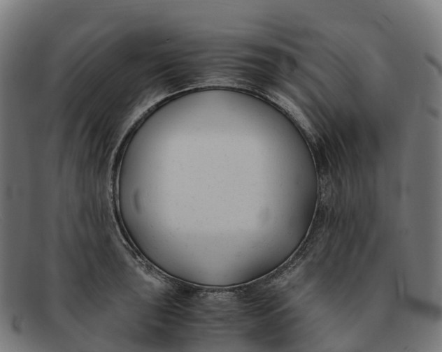 X0000091661043200709131506