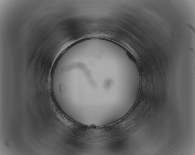 X0000091661044200709131506