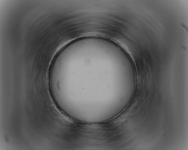 X0000091661045200709131506