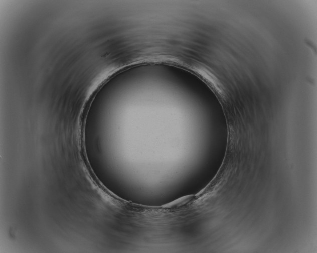 X0000091661046200709131506