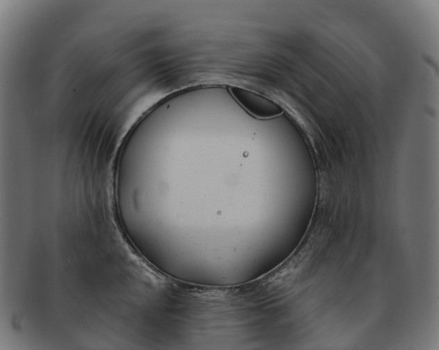 X0000091661048200709131506