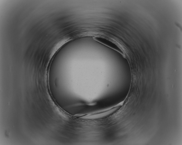 X0000091661050200709131506