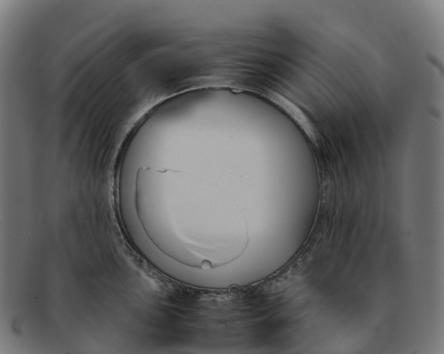 X0000091661051200709131506