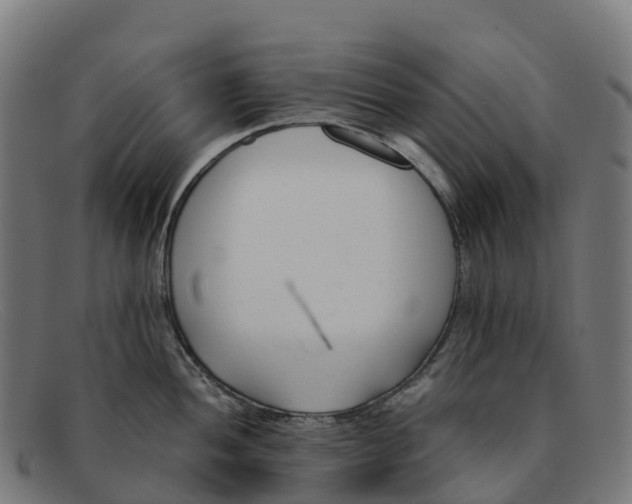 X0000091661052200709131506