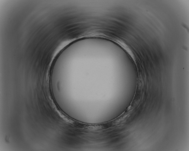 X0000091661053200709131506