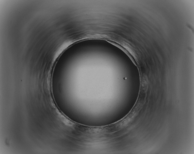 X0000091661054200709131506