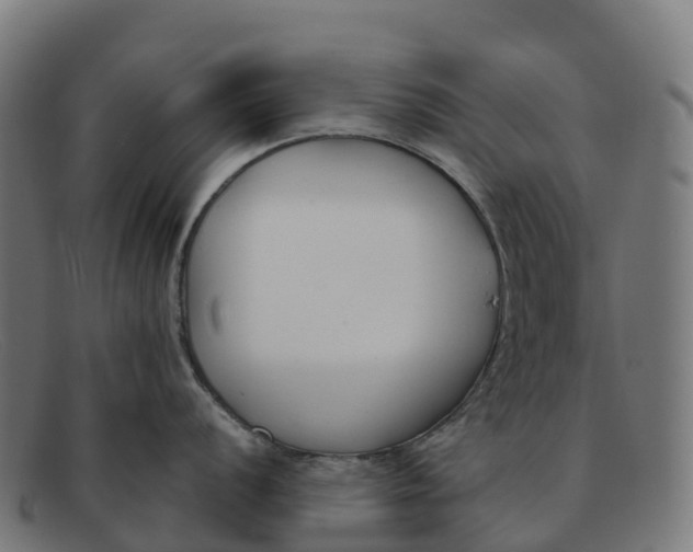 X0000091661056200709131506