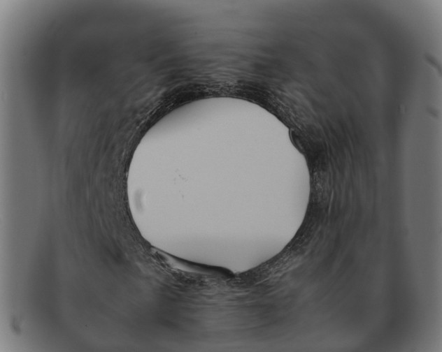 X0000091661057200709131506