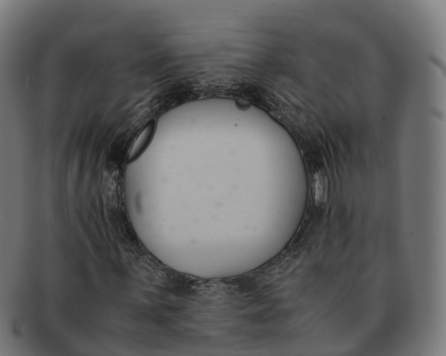 X0000091661059200709131506