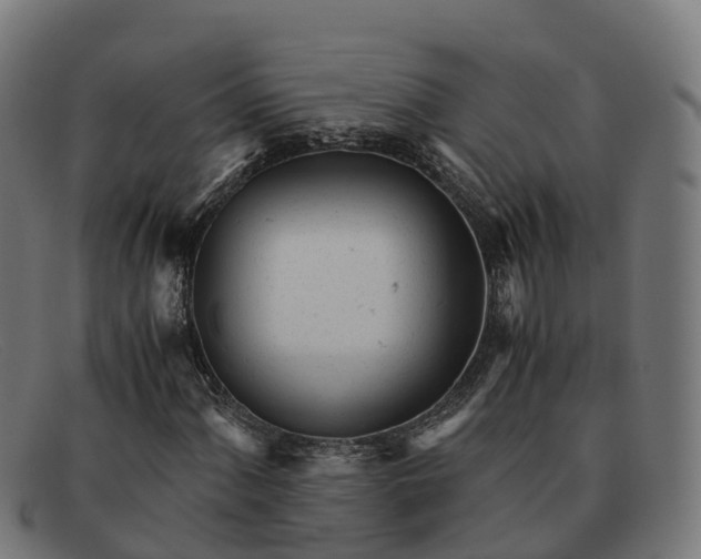 X0000091661060200709131506