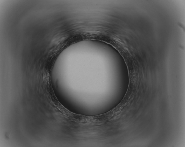 X0000091661061200709131506