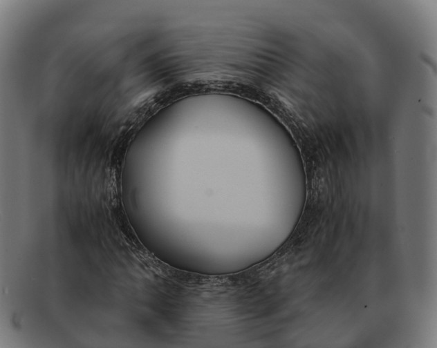 X0000091661062200709131506