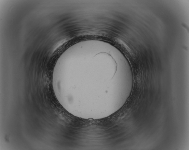 X0000091661064200709131506