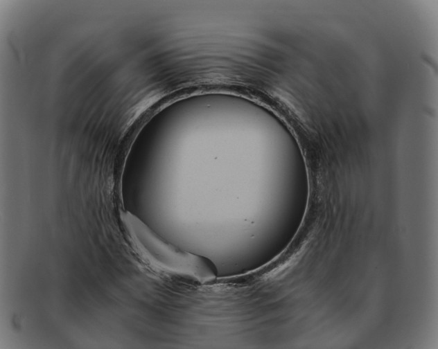 X0000091661065200709131506