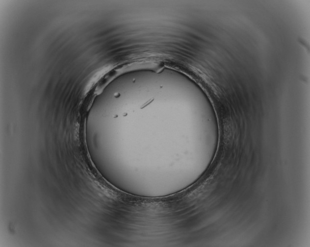 X0000091661066200709131506