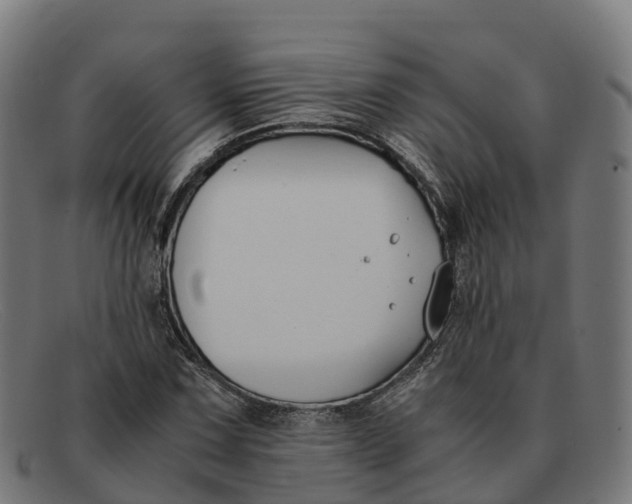 X0000091661067200709131505